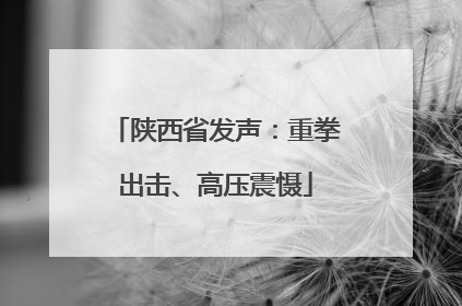 陕西省发声：重拳出击、高压震慑