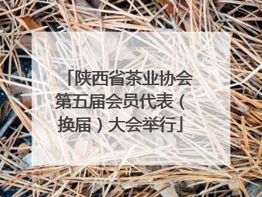 陕西省茶业协会第五届会员代表（换届）大会举行