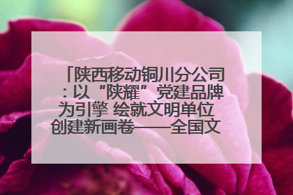 陕西移动铜川分公司：以“陕耀”党建品牌为引擎 绘就文明单位创建新画卷——全国文明单位创建纪实