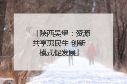 陕西吴堡：资源共享惠民生 创新模式促发展