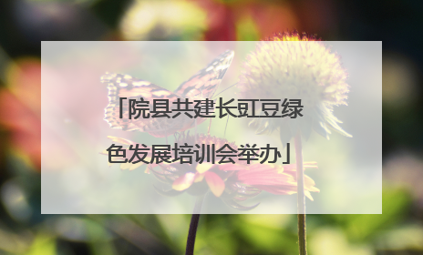 院县共建长豇豆绿色发展培训会举办