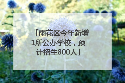 雨花区今年新增1所公办学校，预计招生800人