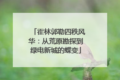 霍林郭勒四秩风华：从荒原勘探到绿电新城的蝶变