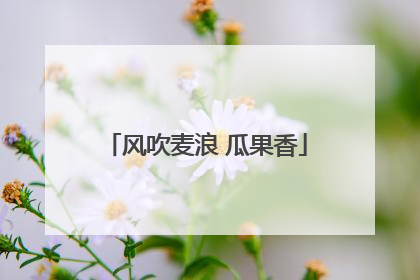 风吹麦浪 瓜果香