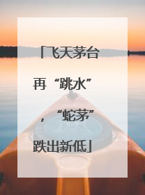 飞天茅台再“跳水”，“蛇茅”跌出新低