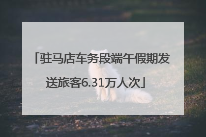 驻马店车务段端午假期发送旅客6.31万人次