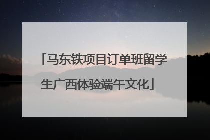 马东铁项目订单班留学生广西体验端午文化