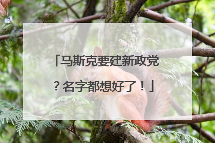 马斯克要建新政党？名字都想好了！