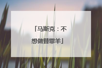 马斯克：不想做替罪羊