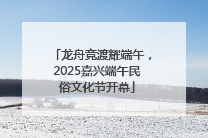 龙舟竞渡耀端午，2025嘉兴端午民俗文化节开幕