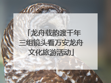 龙舟载韵渡千年 三组镜头看万安龙舟文化旅游活动
