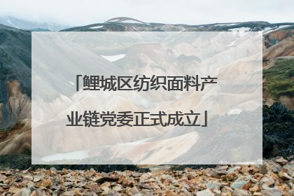 鲤城区纺织面料产业链党委正式成立