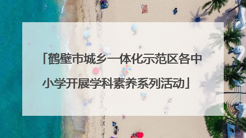 鹤壁市城乡一体化示范区各中小学开展学科素养系列活动