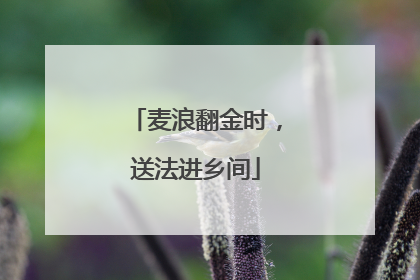 麦浪翻金时，送法进乡间