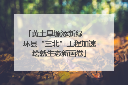 黄土旱塬添新绿——环县“三北”工程加速绘就生态新画卷