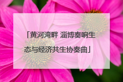 黄河湾畔 淄博奏响生态与经济共生协奏曲