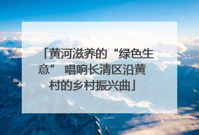 黄河滋养的“绿色生意” 唱响长清区沿黄村的乡村振兴曲