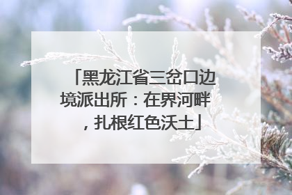 黑龙江省三岔口边境派出所：在界河畔，扎根红色沃土