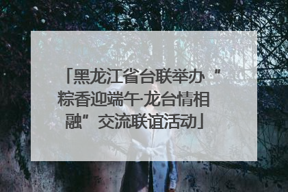 黑龙江省台联举办“粽香迎端午·龙台情相融”交流联谊活动