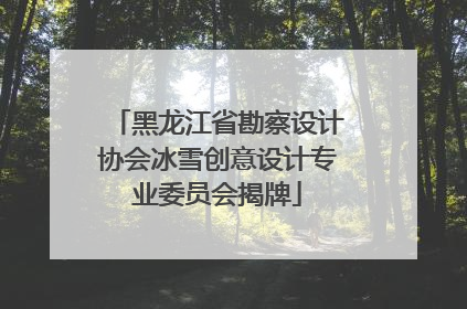 黑龙江省勘察设计协会冰雪创意设计专业委员会揭牌