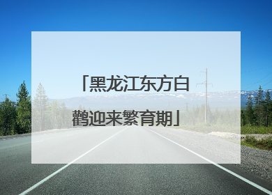 黑龙江东方白鹳迎来繁育期