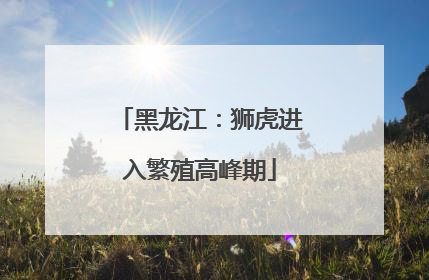 黑龙江：狮虎进入繁殖高峰期