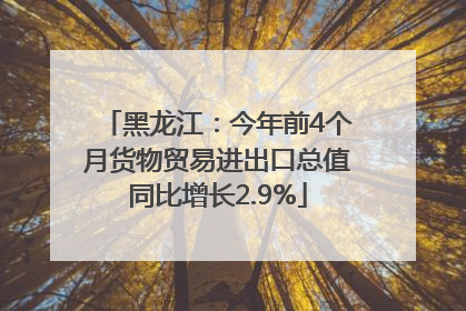 黑龙江：今年前4个月货物贸易进出口总值同比增长2.9%