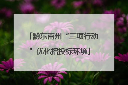 黔东南州“三项行动”优化招投标环境