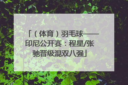 （体育）羽毛球——印尼公开赛：程星/张驰晋级混双八强