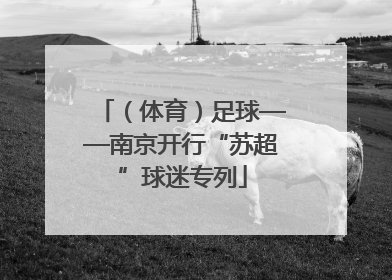 （体育）足球——南京开行“苏超”球迷专列
