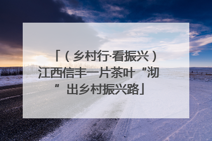 （乡村行·看振兴）江西信丰一片茶叶“沏”出乡村振兴路