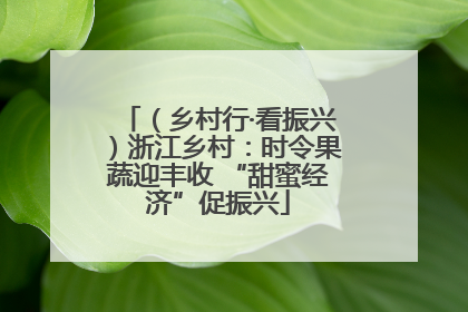 （乡村行·看振兴）浙江乡村：时令果蔬迎丰收 “甜蜜经济”促振兴