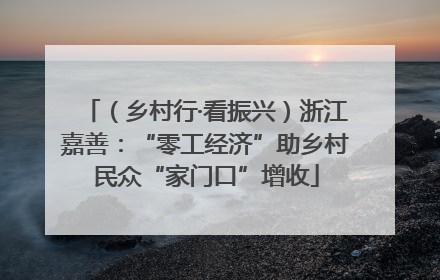 （乡村行·看振兴）浙江嘉善：“零工经济”助乡村民众“家门口”增收