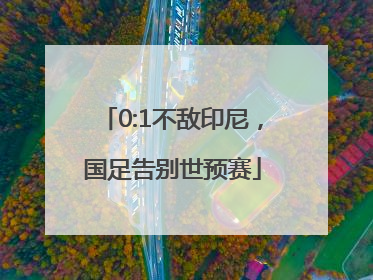 0:1不敌印尼，国足告别世预赛