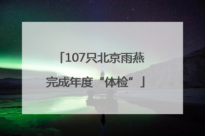 107只北京雨燕完成年度“体检”