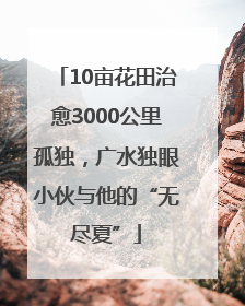 10亩花田治愈3000公里孤独，广水独眼小伙与他的“无尽夏”