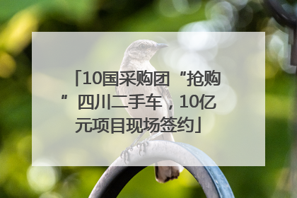 10国采购团“抢购”四川二手车，10亿元项目现场签约
