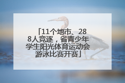 11个地市、288人竞逐，省青少年学生阳光体育运动会游泳比赛开赛