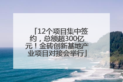 12个项目集中签约，总额超300亿元！金砖创新基地产业项目对接会举行