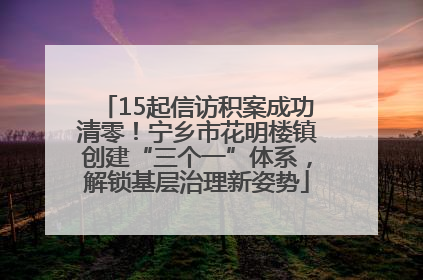 15起信访积案成功清零！宁乡市花明楼镇创建“三个一”体系，解锁基层治理新姿势