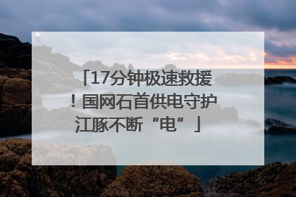 17分钟极速救援！国网石首供电守护江豚不断“电”