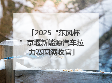2025“东风杯”京堰新能源汽车拉力赛圆满收官
