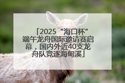2025“海口杯”端午龙舟国际邀请赛启幕，国内外近40支龙舟队竞逐海甸溪