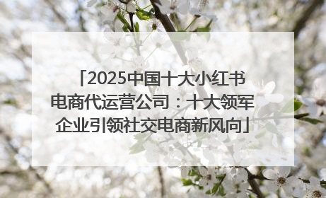 2025中国十大小红书电商代运营公司：十大领军企业引领社交电商新风向