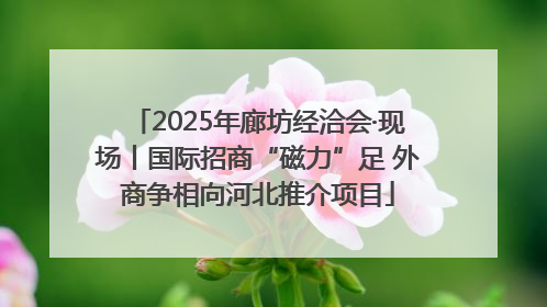 2025年廊坊经洽会·现场丨国际招商“磁力”足 外商争相向河北推介项目