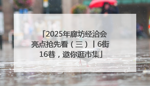 2025年廊坊经洽会亮点抢先看（三）丨6街16巷，邀你逛市集