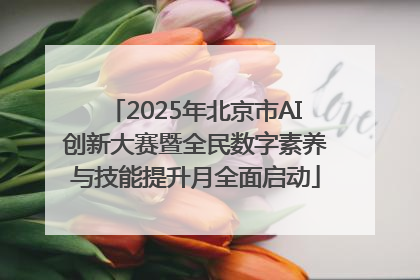 2025年北京市AI创新大赛暨全民数字素养与技能提升月全面启动