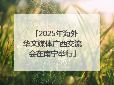 2025年海外华文媒体广西交流会在南宁举行