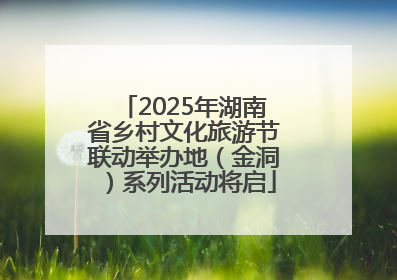 2025年湖南省乡村文化旅游节联动举办地（金洞）系列活动将启