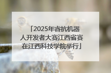 2025年睿抗机器人开发者大赛江西省赛在江西科技学院举行